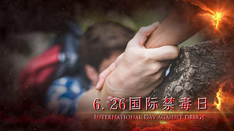 国际禁毒日大气图文宣传会声会影模版
