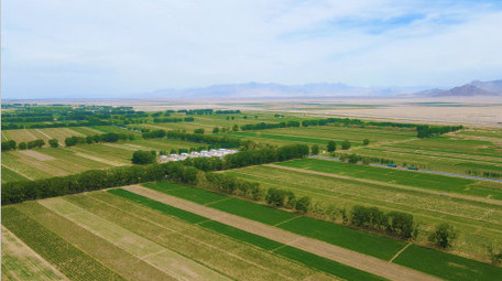 行业国家示范农业产业园农田庄园4K航拍