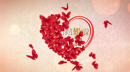 唯美蝴蝶飞舞婚礼婚庆片头展示PR模板