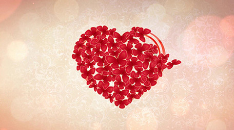 唯美蝴蝶飞舞婚礼婚庆片头展示PR模板