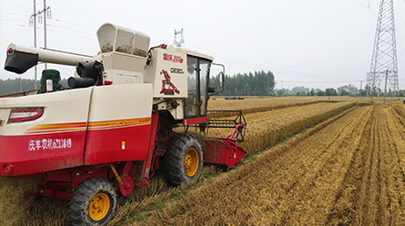 农业麦收场景小麦联合收割机麦田作业