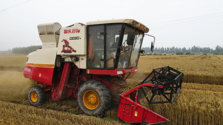 农业麦收场景小麦联合收割机麦田作业