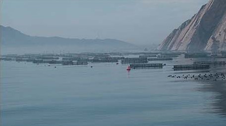 行业职业渔业养殖海上网箱养鱼渔民海水养殖