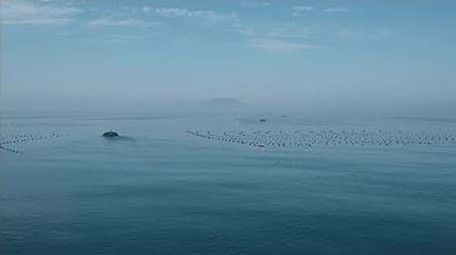 行业职业渔业养殖海上网箱养鱼渔民海水养殖