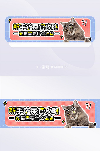 孟菲斯线上培训宠物养猫攻略banner图片