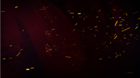 党政大气党的历史片头片尾pr模版