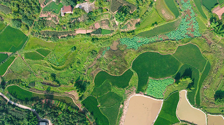 行业大气农村农田乡村风景农业经济航拍