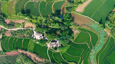 行业大气农村农田乡村风景农业经济航拍