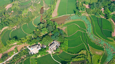 行业大气农村农田乡村风景农业经济航拍