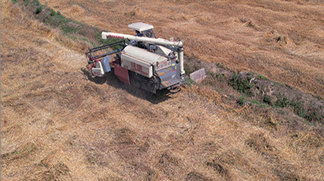 农业行业农民农田农忙收割机收麦子4K航拍