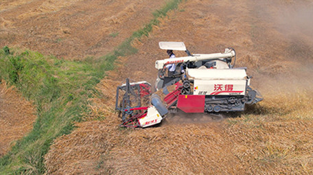 农业行业农民农田农忙收割机收麦子4K航拍