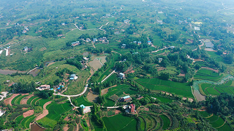 行业简约乡村农村农田农业经济发展航拍