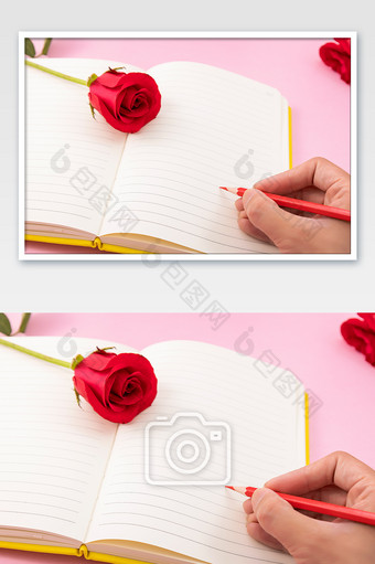 情人节玫瑰手写情书创意粉色背景图片