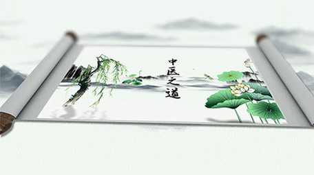 中国风中医健康养生pr片头模版