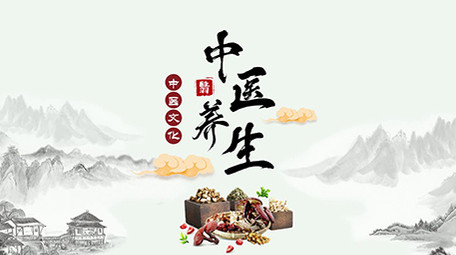 中国风中医健康养生pr片头模版