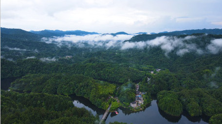 风景重庆四面山森林大自然云雾缭绕