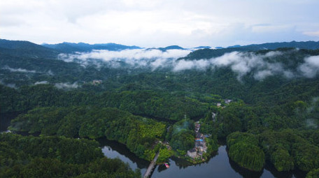 风景重庆四面山森林大自然云雾缭绕