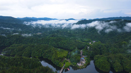 风景重庆四面山森林大自然云雾缭绕