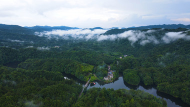 风景重庆四面山森林大自然云雾缭绕