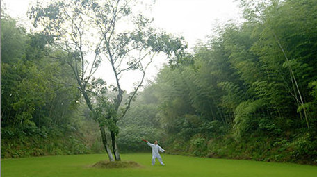 全民健身晨练老人户外太极扇运动锻炼实拍