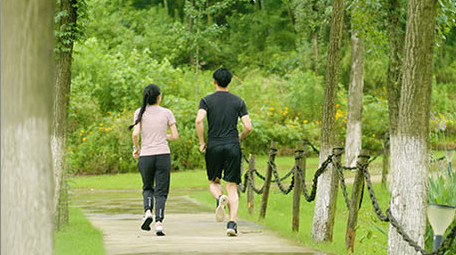 早上公园晨跑的情侣背影实拍