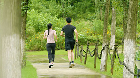 早上公园晨跑的情侣背影实拍