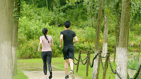 早上公园晨跑的情侣背影实拍