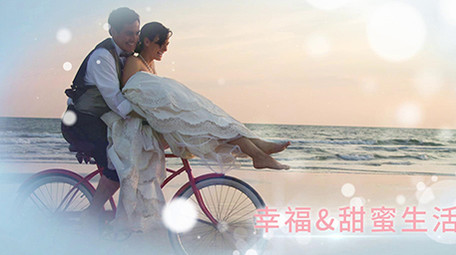 优雅简洁婚礼片头片尾pr模板