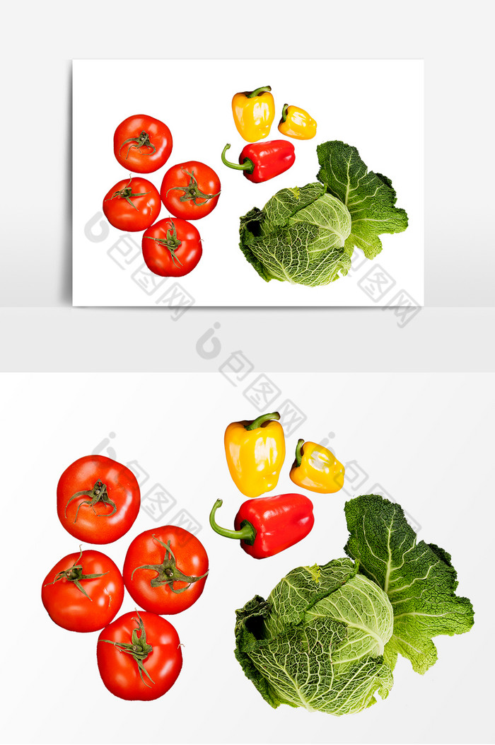 西红柿彩椒白菜三种蔬菜装饰图片图片