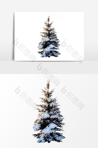 小雪松树积雪装饰元素图片
