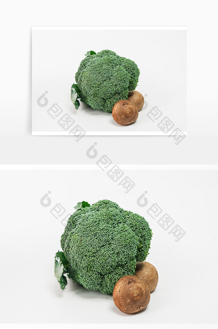 西兰花香菇蔬菜组合实物图片图片
