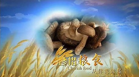 世界粮食日<strong>图文</strong>开场宣传展示