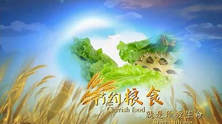 世界粮食日<strong>图文</strong>开场宣传展示