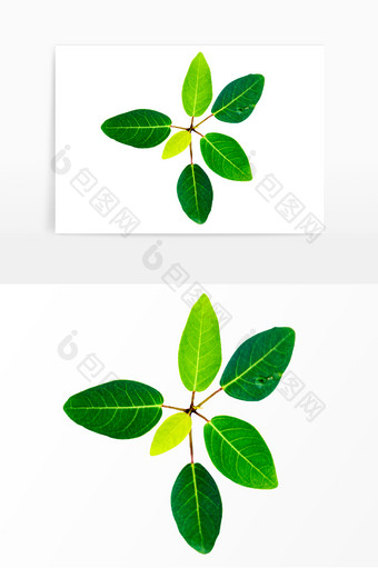绿色写实小树苗元素图片