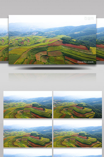 云南红土地农业耕地4K航拍图片
