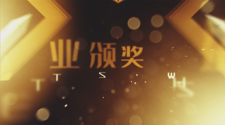 企业年会颁奖金色图文AE模板