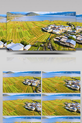 中国西部高原乡村青稞地农村风貌4K航拍图片