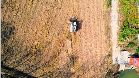 行业职业农业乡村农田收割机秋收水稻丰收