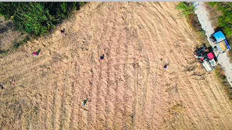 行业职业农业乡村农田收割机秋收水稻丰收