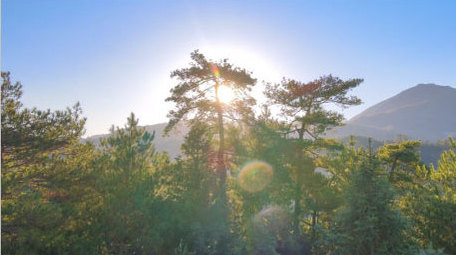 井冈山森林日出阳光大自然清晨4K航拍