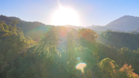 井冈山森林日出阳光大自然清晨4K航拍