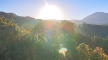 井冈山森林日出阳光大自然清晨4K航拍