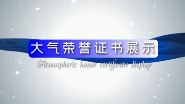企业商务科技奖状专利证书图文展示宣传