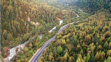 自然森林河流航拍4K实拍