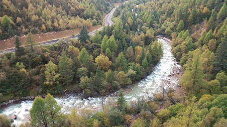 自然森林河流航拍4K实拍