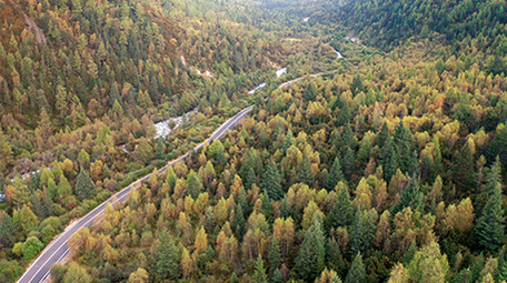 自然森林河流航拍4K实拍