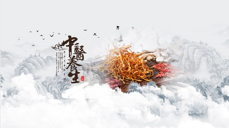 大气传统中国文化中医养生水墨AE图文模版