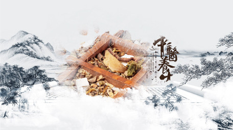 大气传统中国文化中医养生水墨AE图文模版