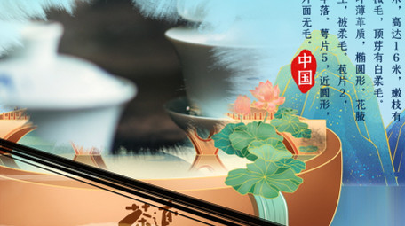 水墨卷轴国潮鎏金中国茶文化片头AE模板