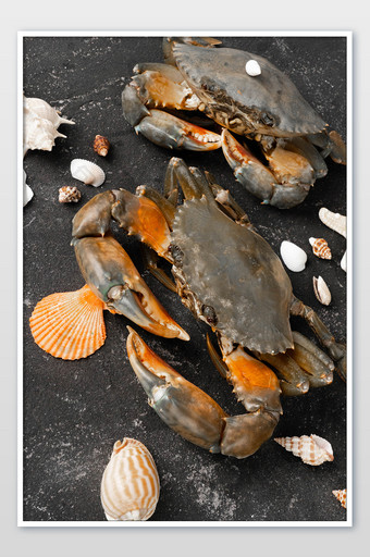 水产海鲜大肉蟹螃蟹图片